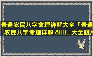 普通农民八字命理详解大全「普通农民八字命理详解 🍁 大全图片」